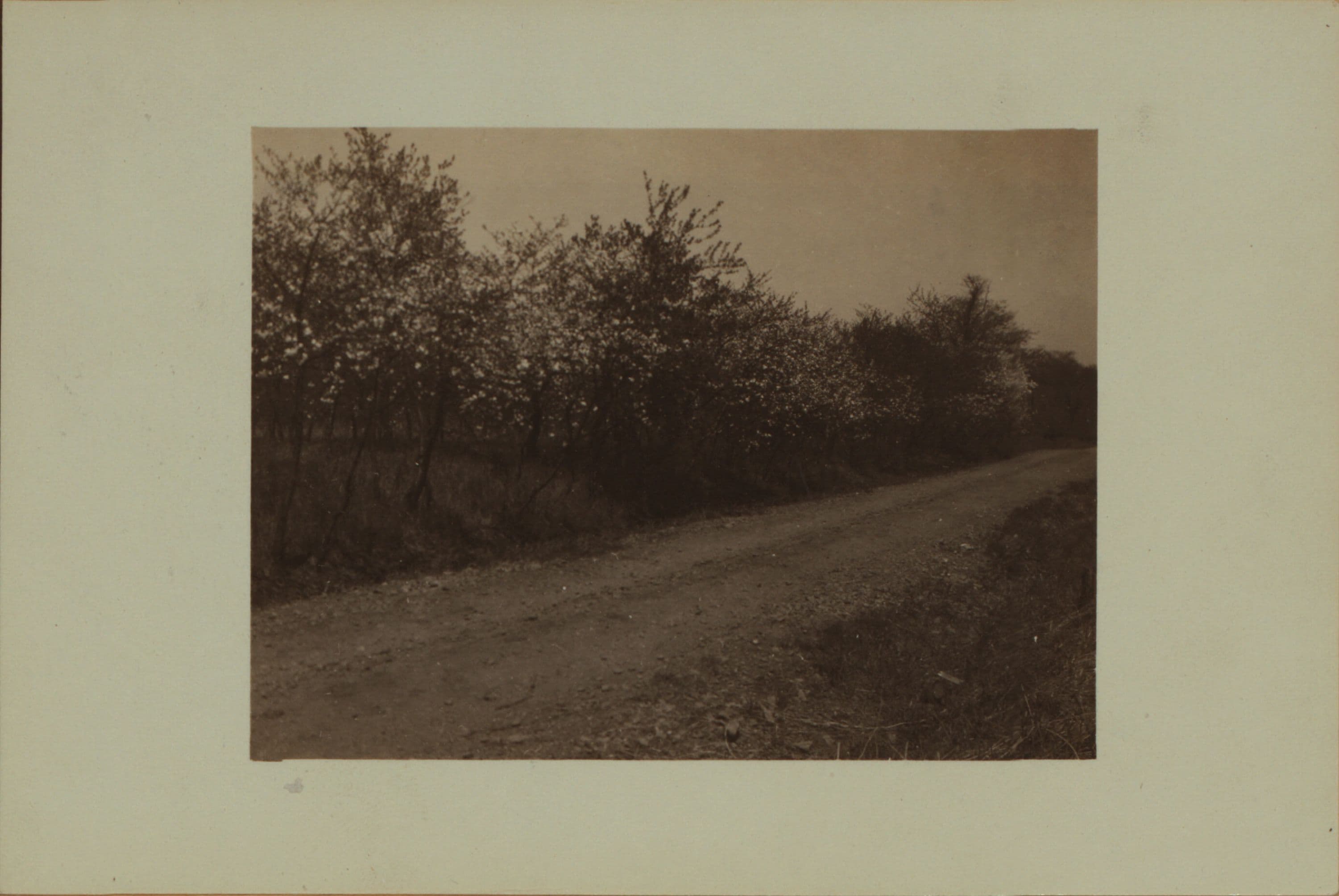Richmond: Signs Road - Victory Boulevard, 1926
