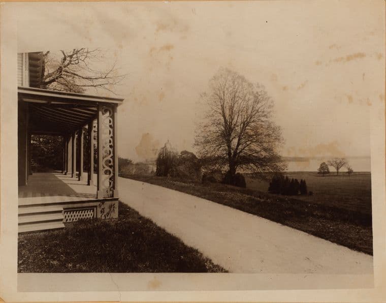 Bronx: Castle Hill Avenue - Norton Avenue