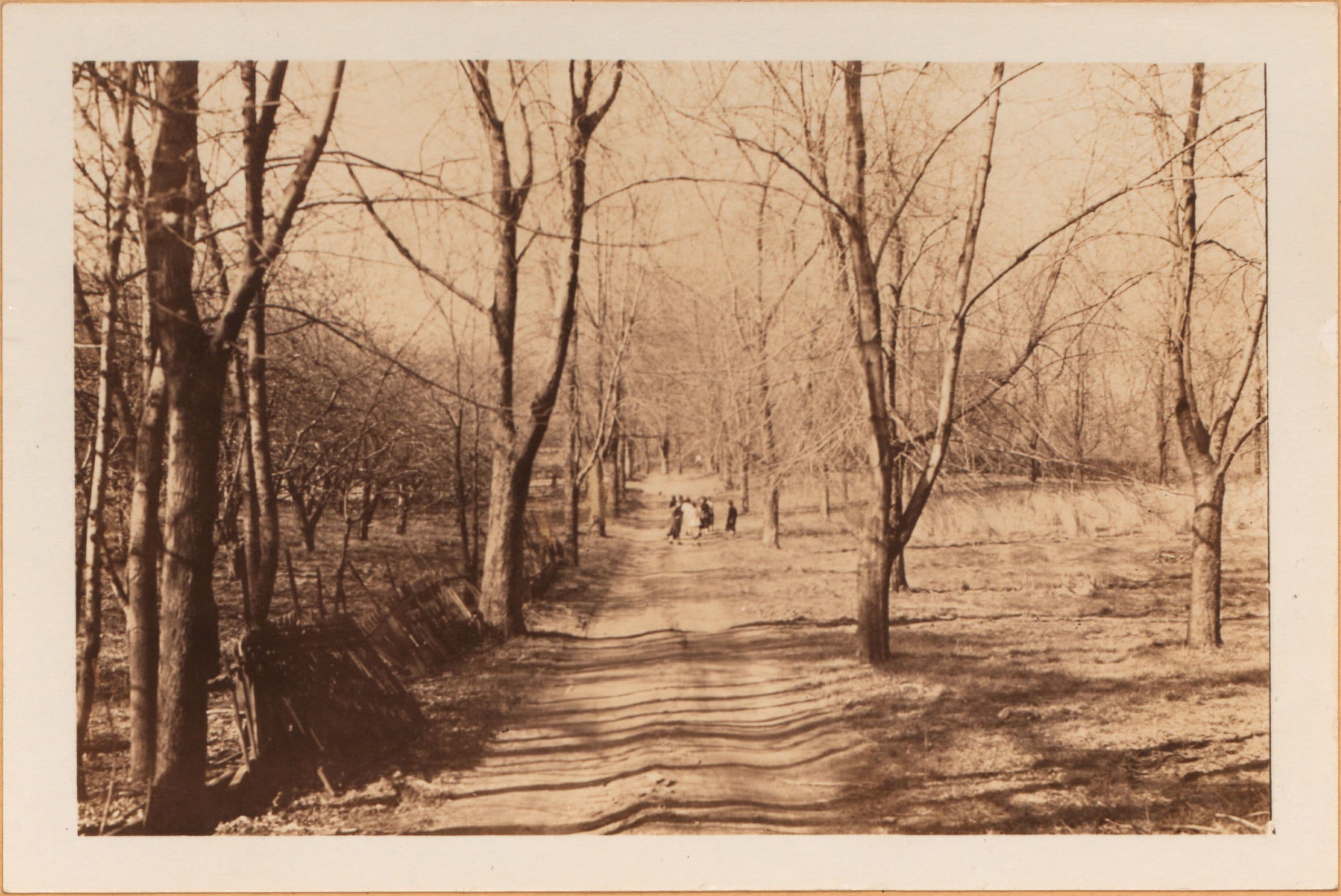 Bronx: 254th Street (West) - Arlington Avenue, 1937