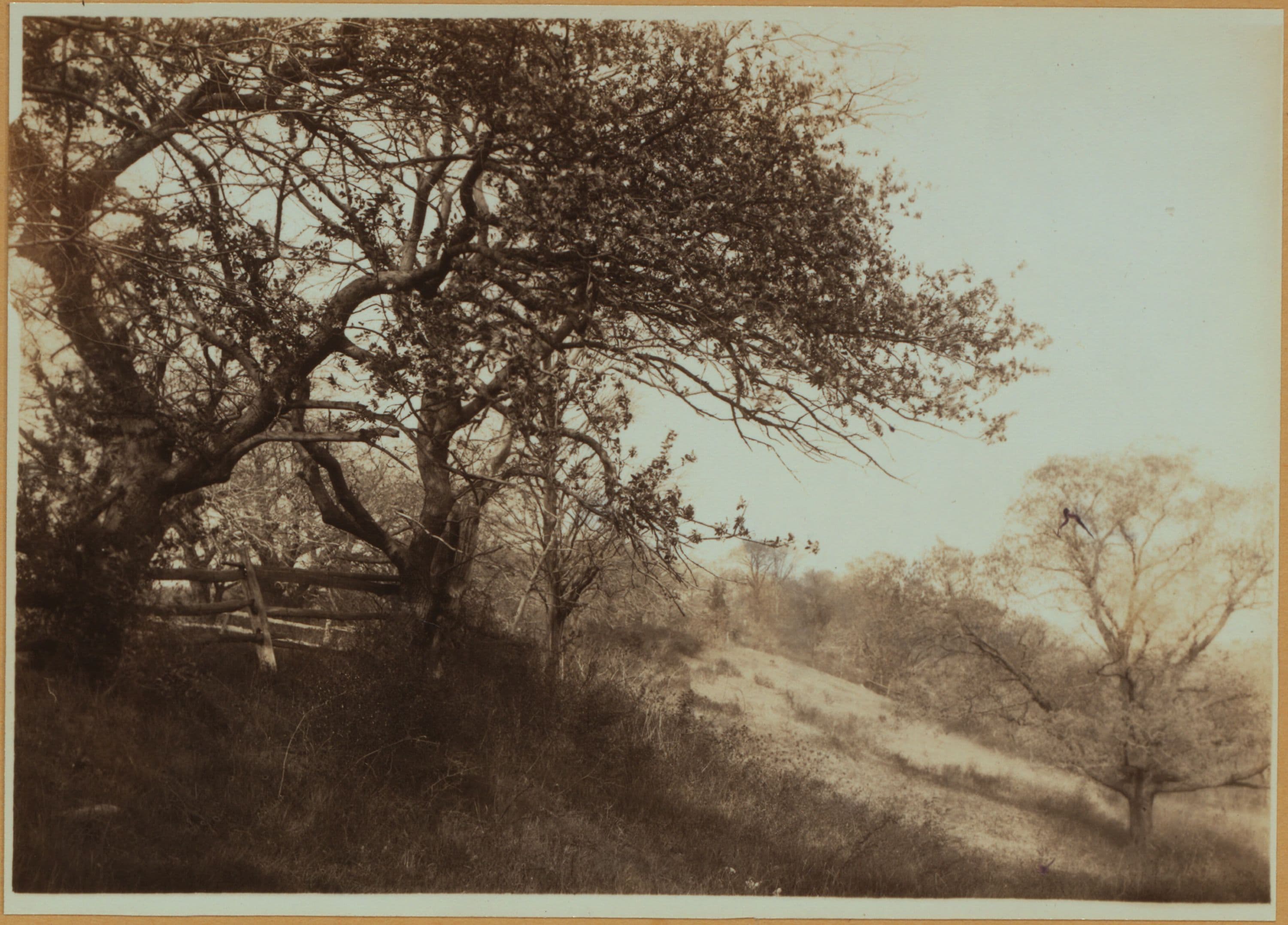 Richmond: Richmond Hill Road - Old Mill Road, 1910