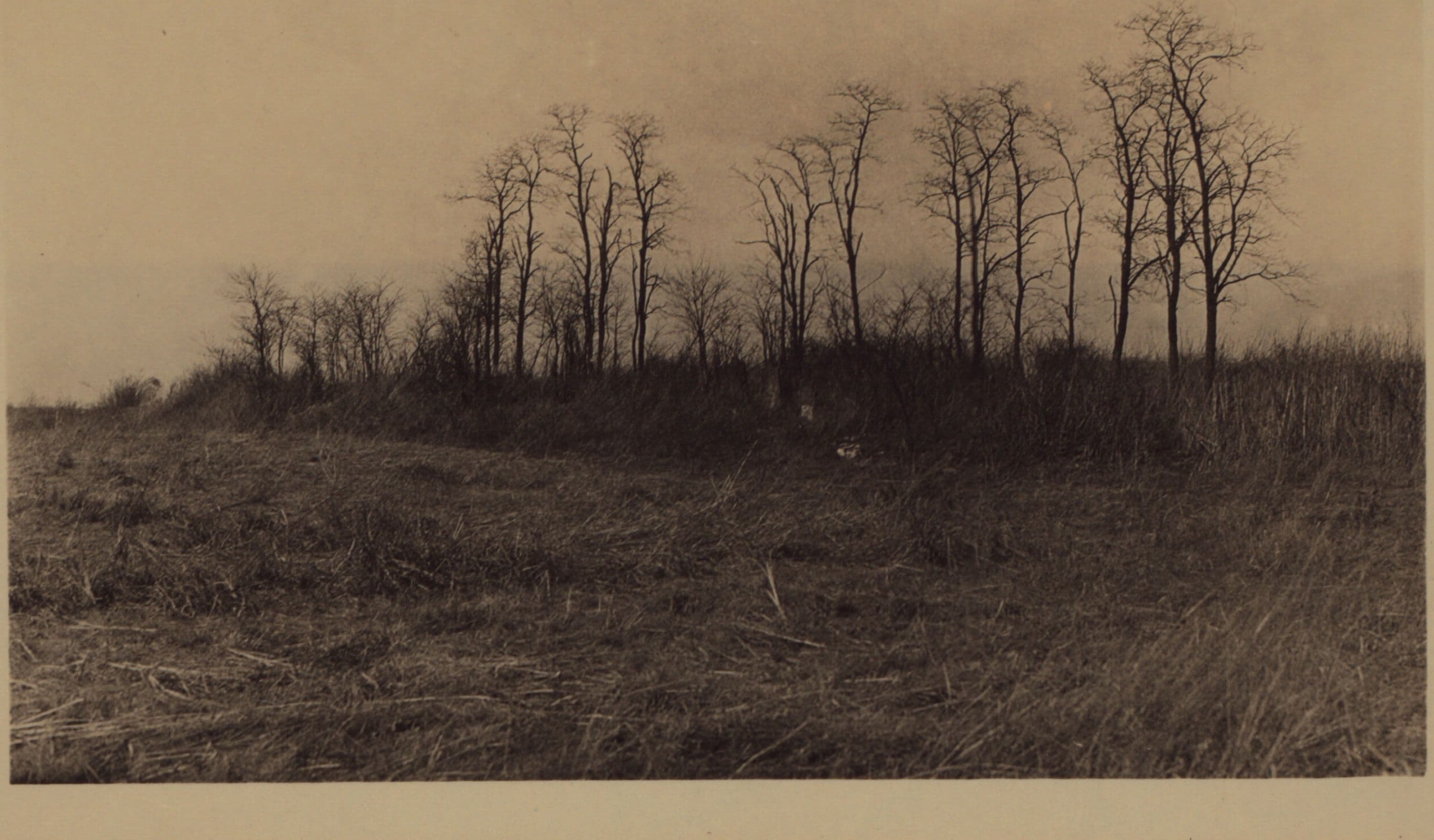 Queens: 73rd Avenue - Utopia Parkway, 1927