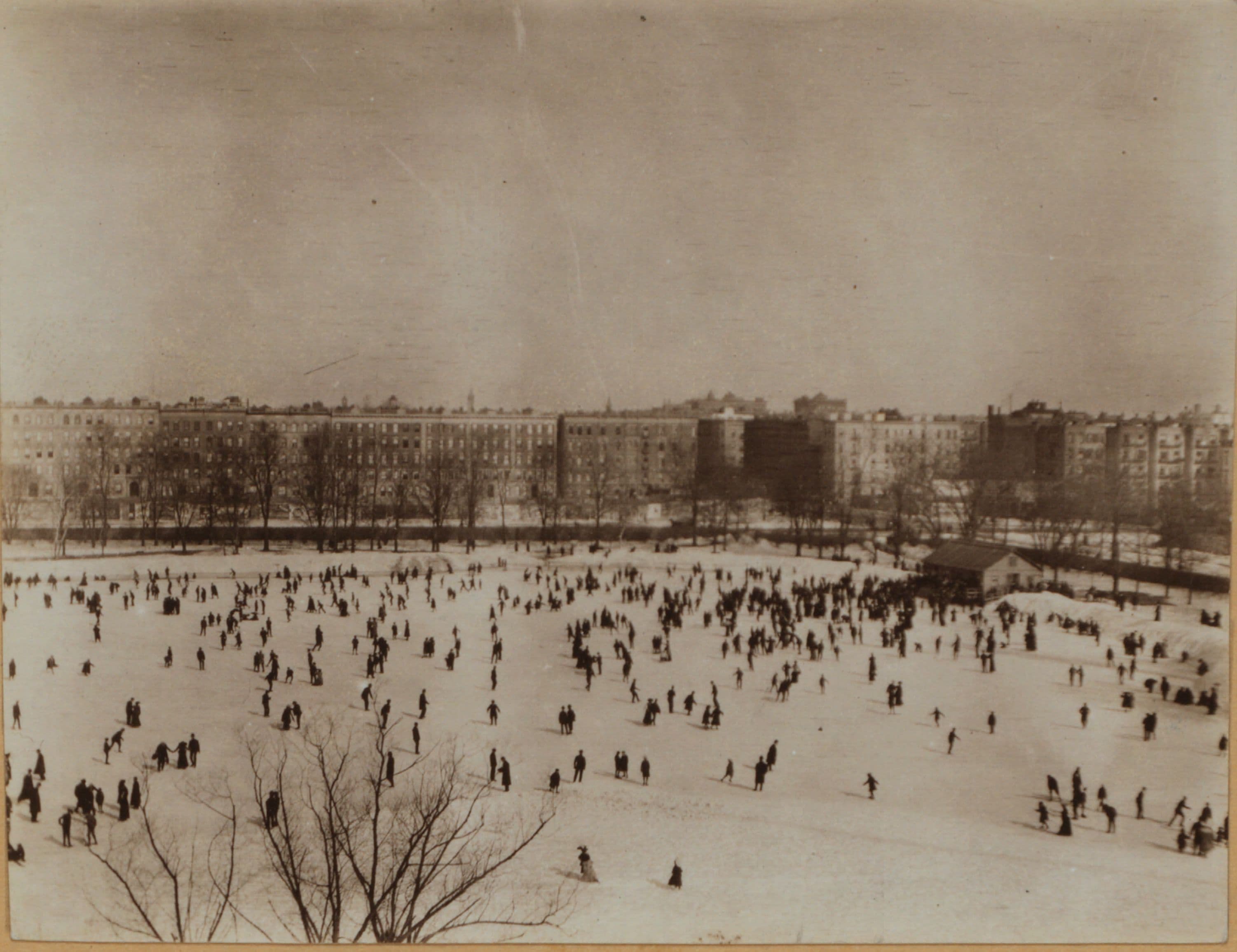 Manhattan: Central Park at 110th Street -- Lake and botanical garden, 1905