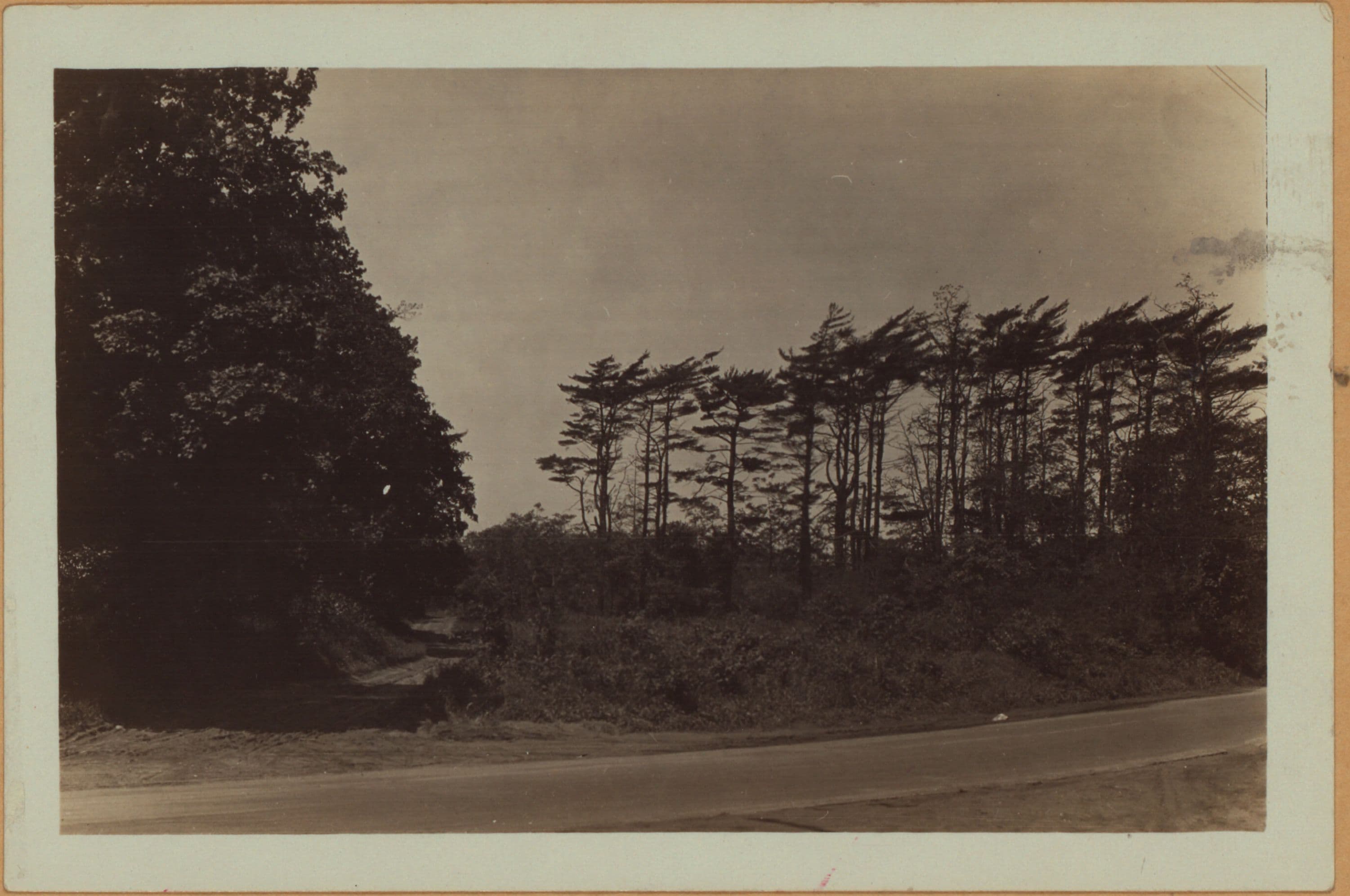 Queens: Springfield Boulevard - 76th Avenue