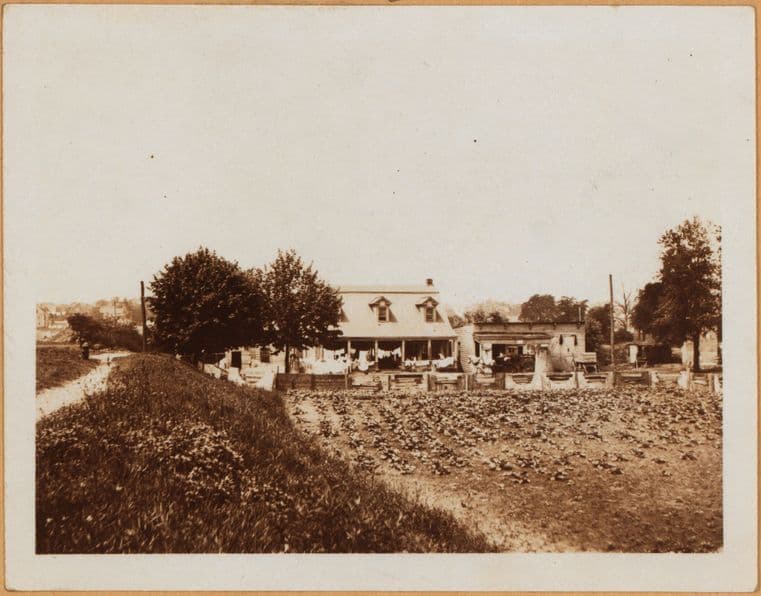 Brooklyn: 5th Avenue - 84th Street