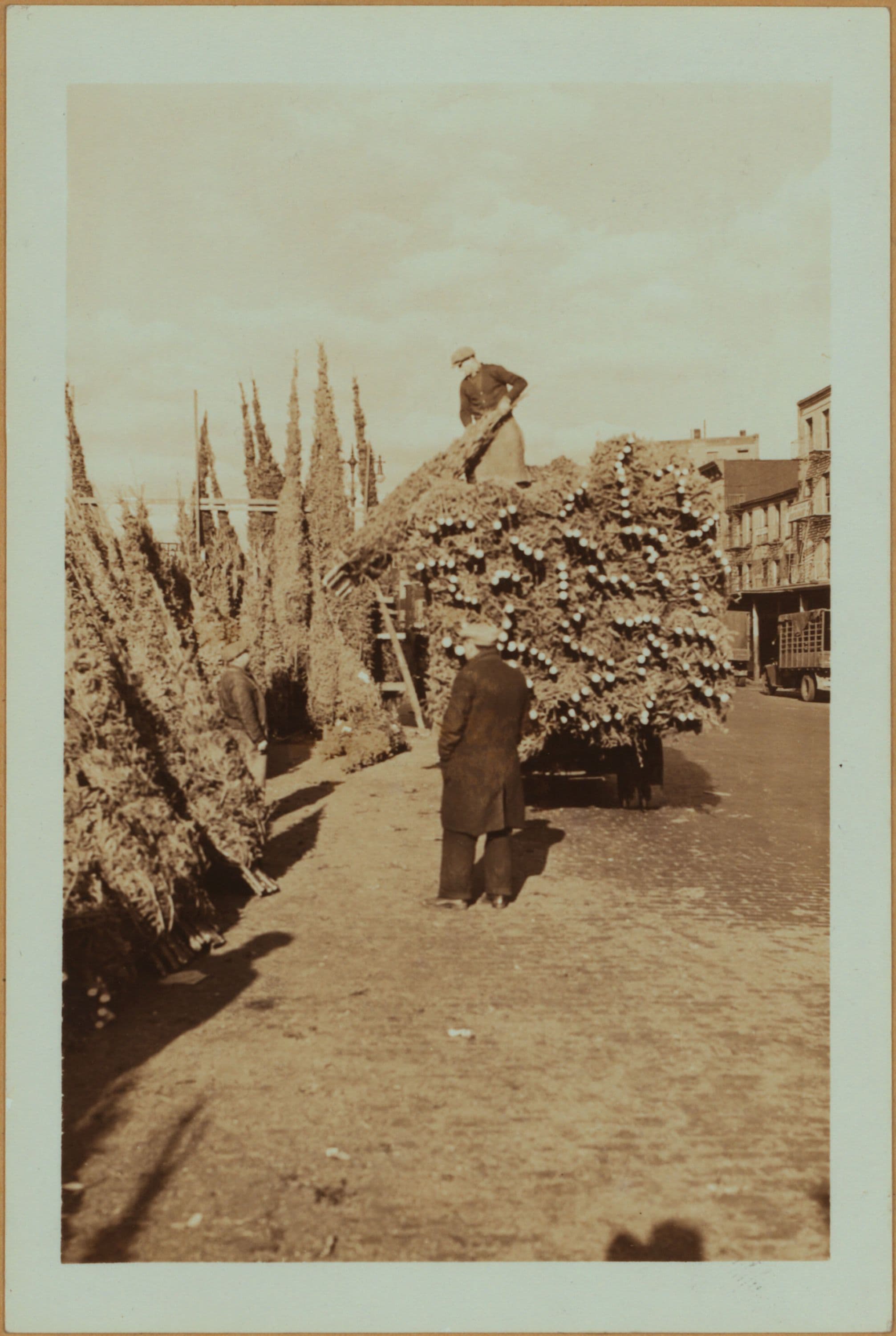 Occupations - Peddlers - Christmas trees.