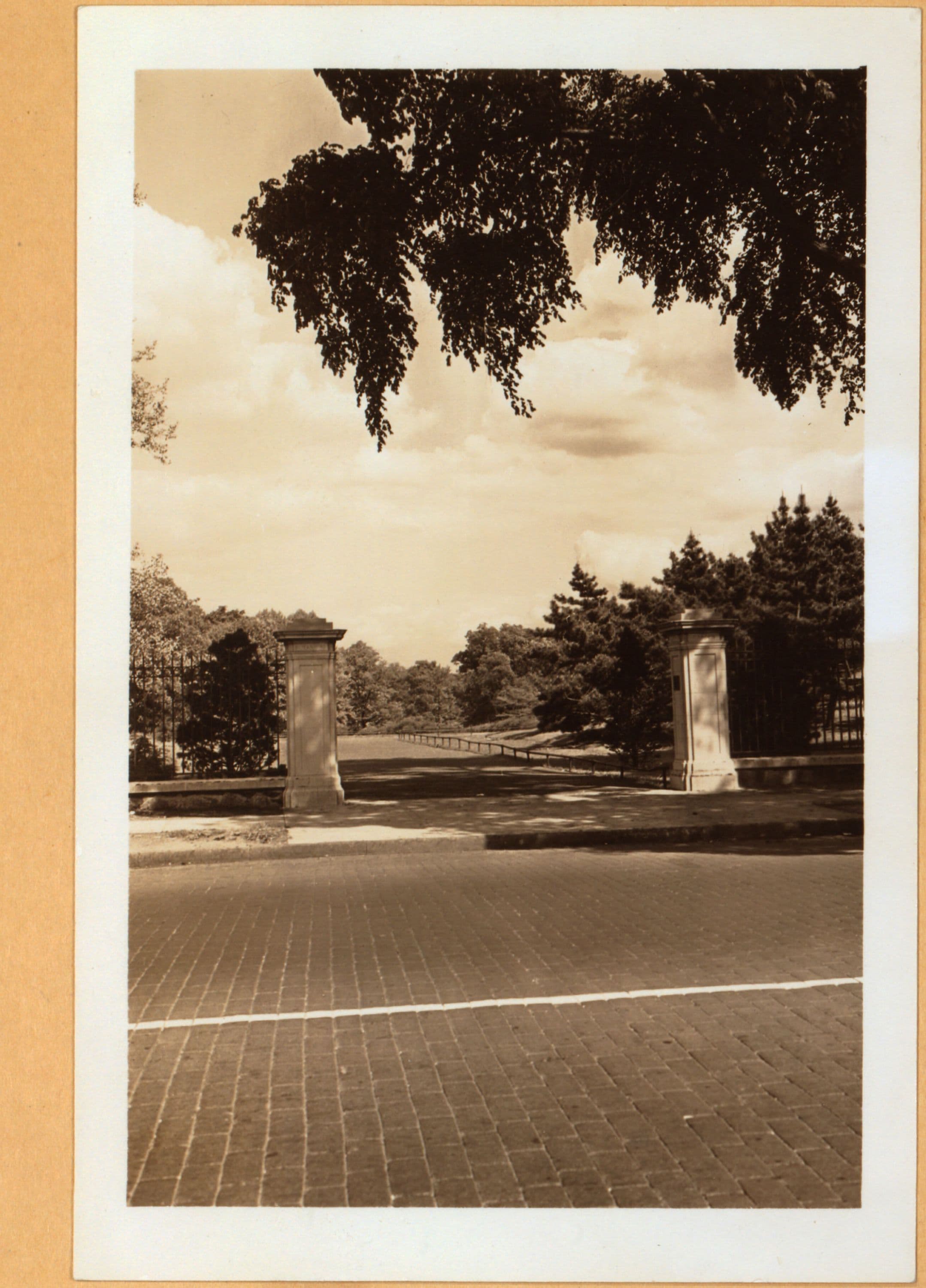 Bronx: Bronx Park - Southern Boulevard