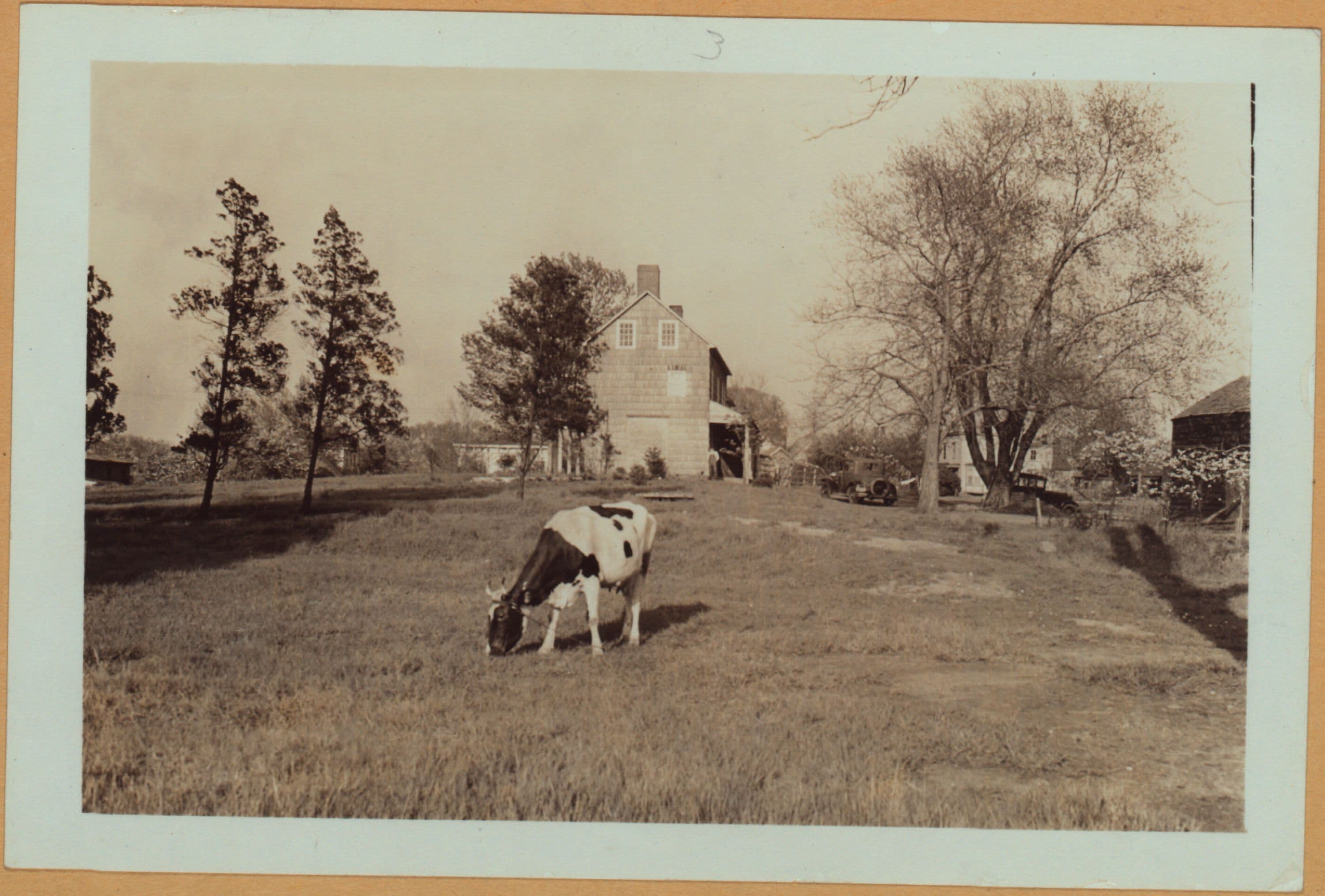 Richmond: Arthur Kill Road - Engert Street