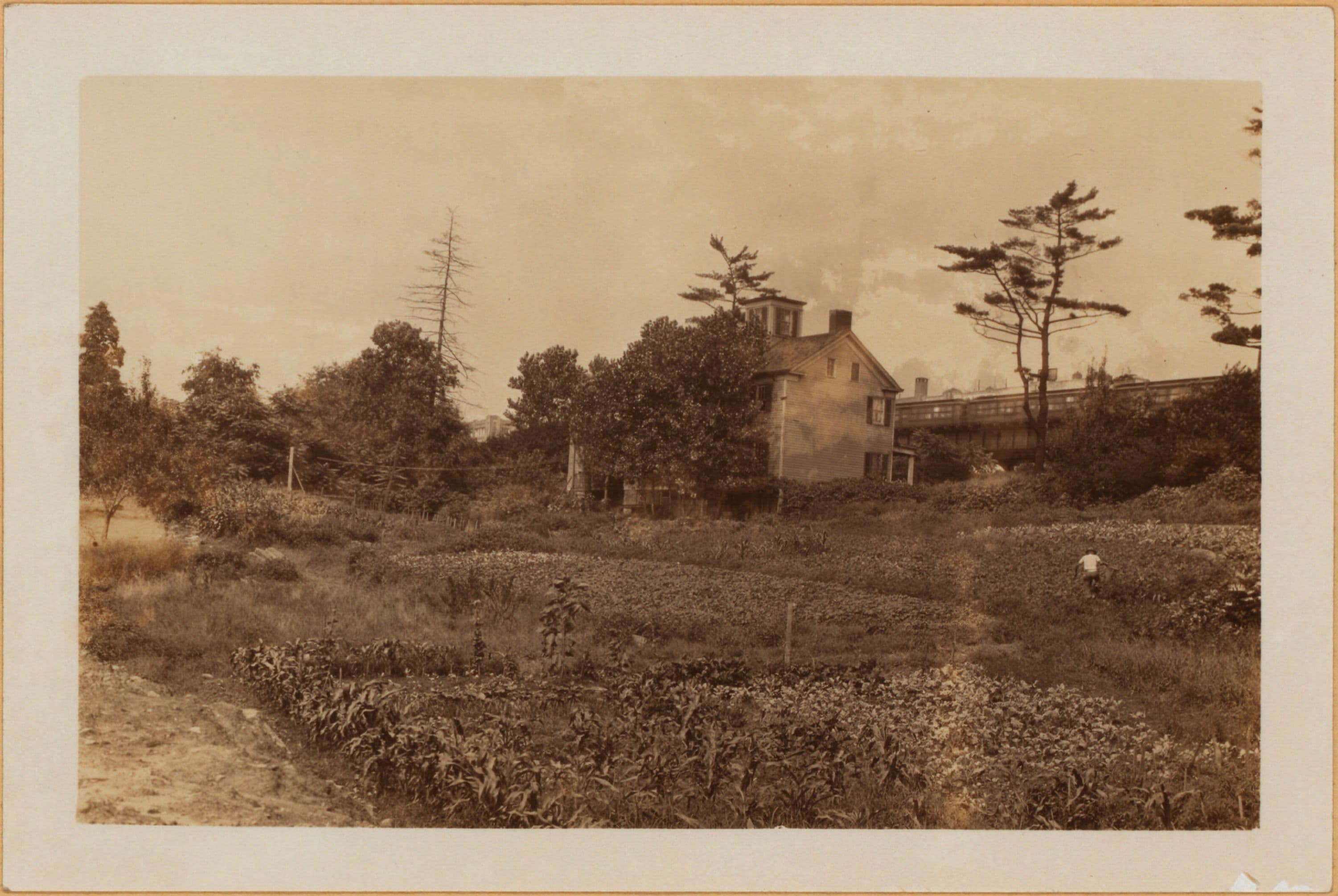Bronx: White Plains Road - Pelham Parkway South