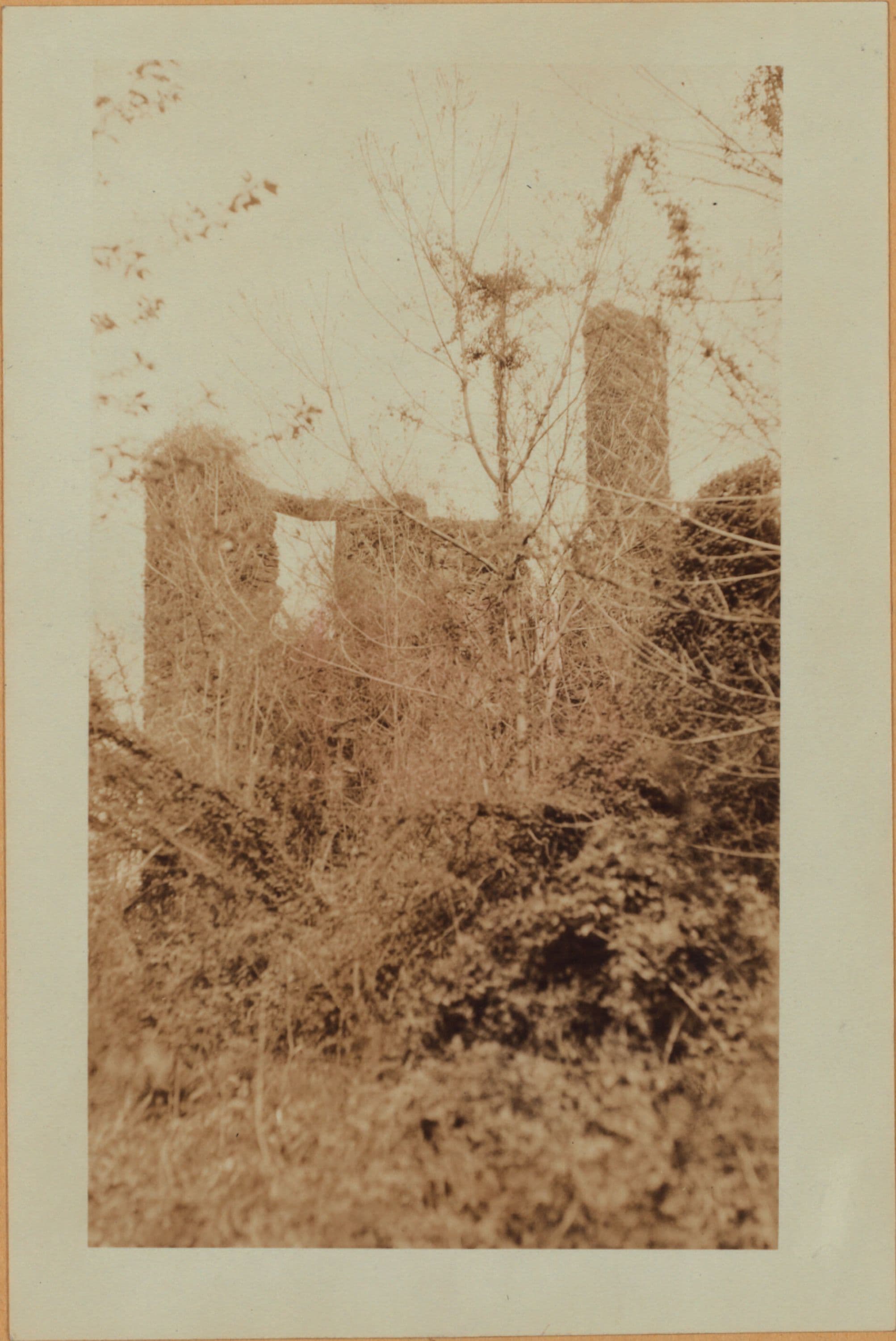 Richmond: Arthur Kill Road - Abingdon Avenue