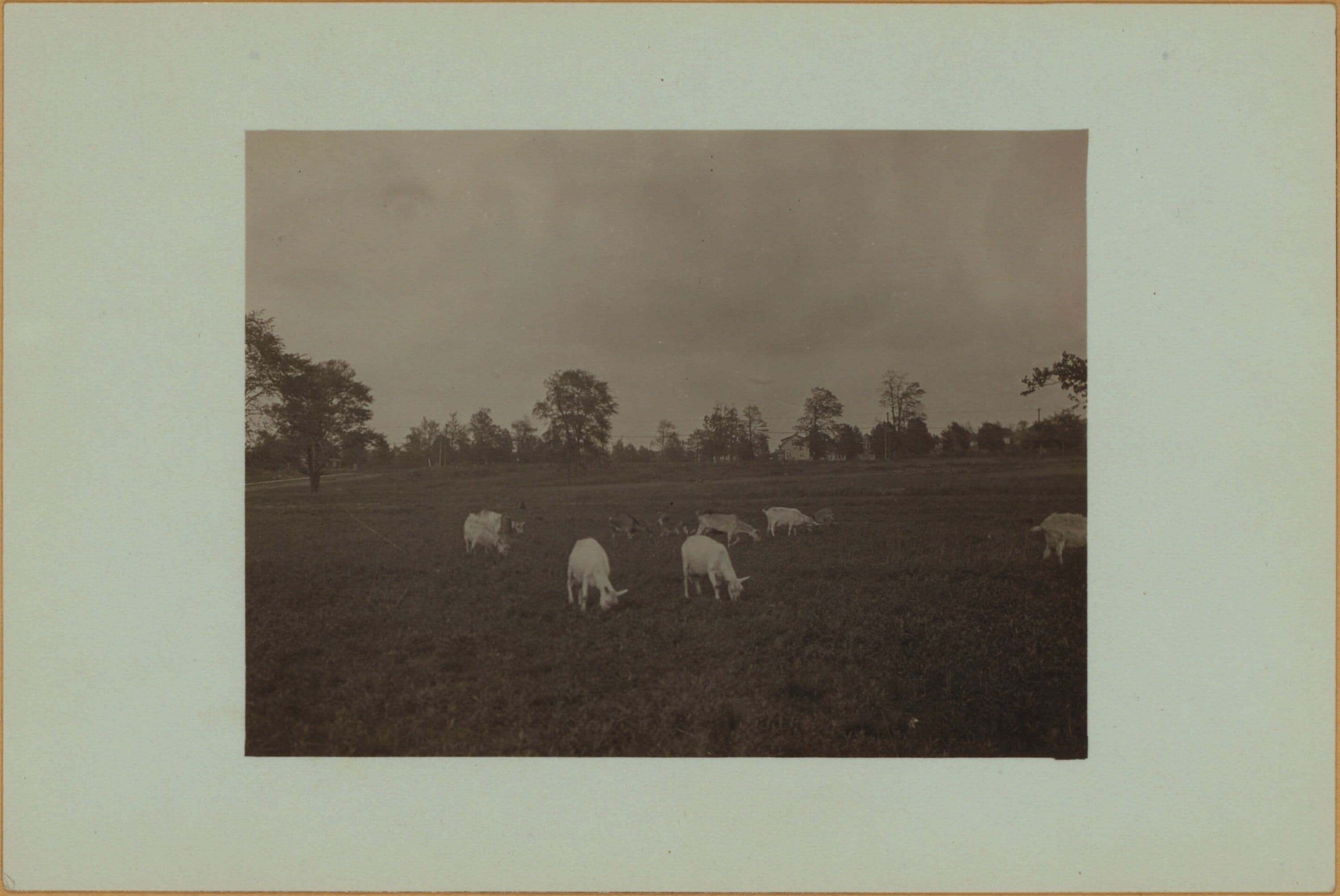 Farming on Staten Island, 1924–1926