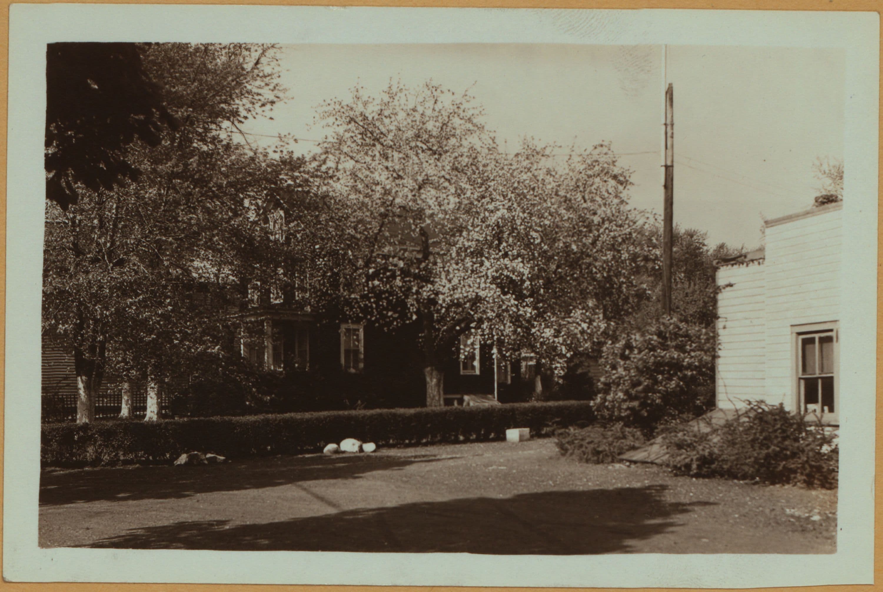 Richmond: Seguine Avenue - Marshner Place, 1932