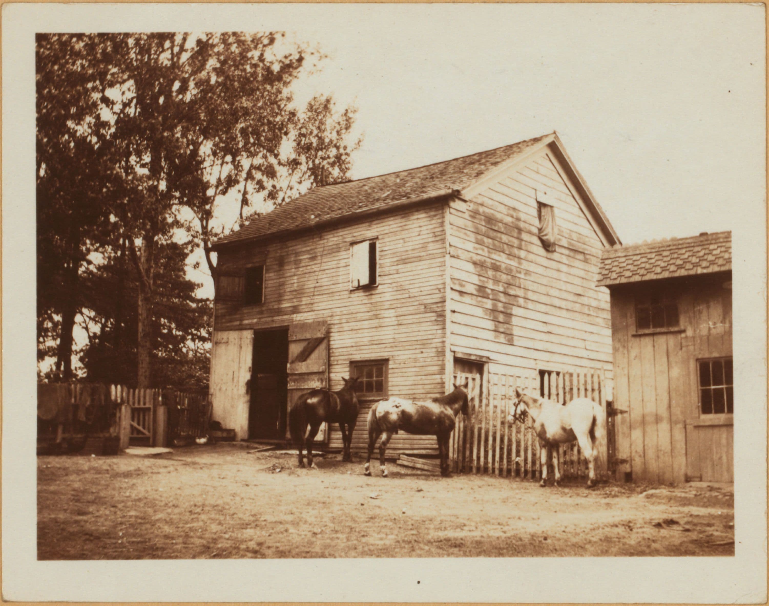 Brooklyn: Rockaway Parkway - Avenue K