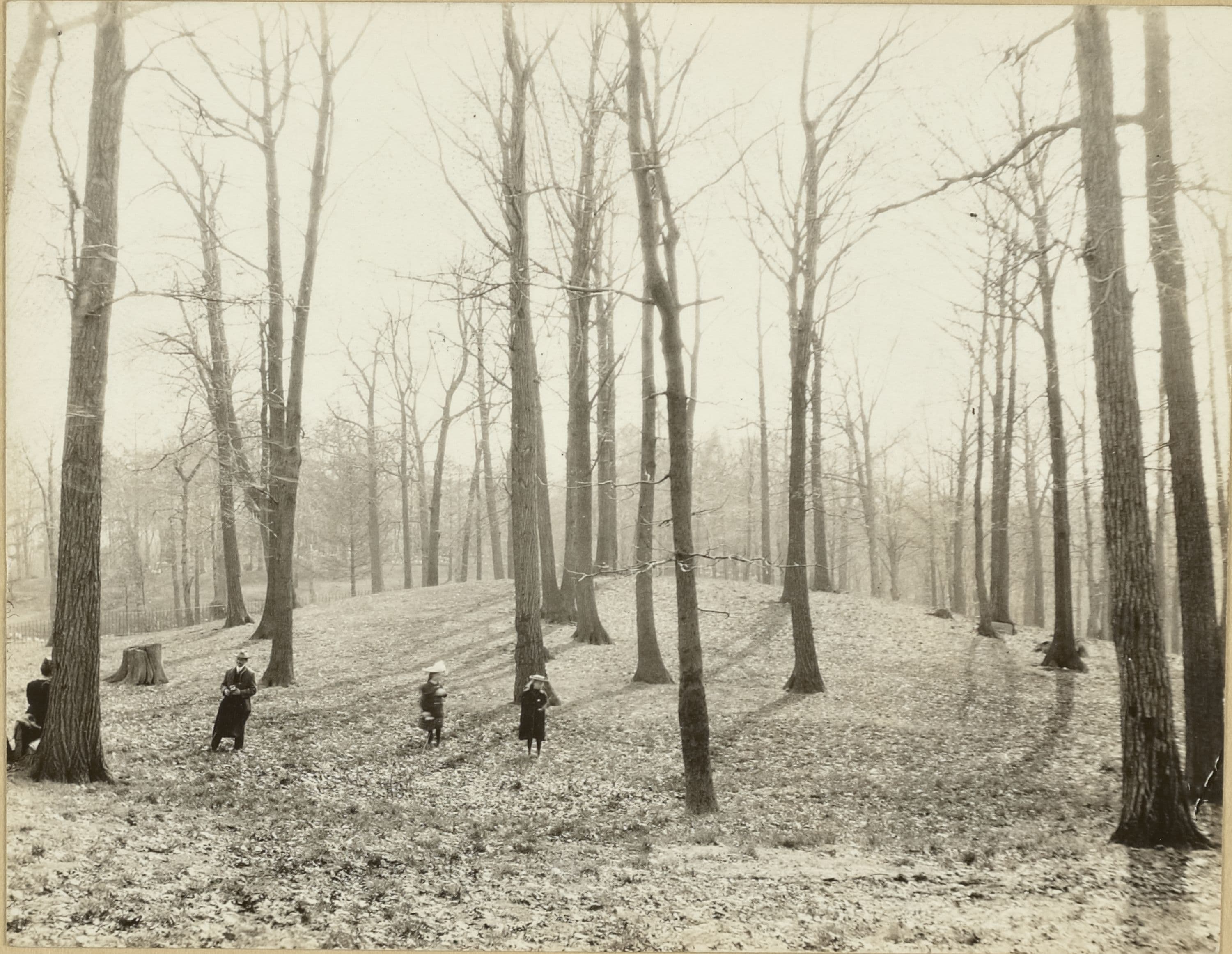 Brooklyn: Prospect Park.