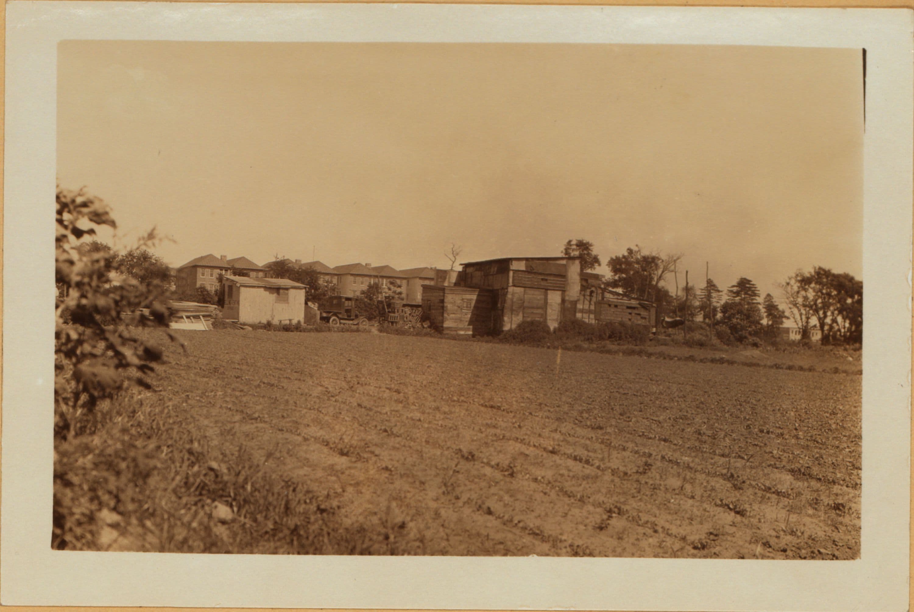 Bronx: Lafayette Avenue - Metcalf Avenue