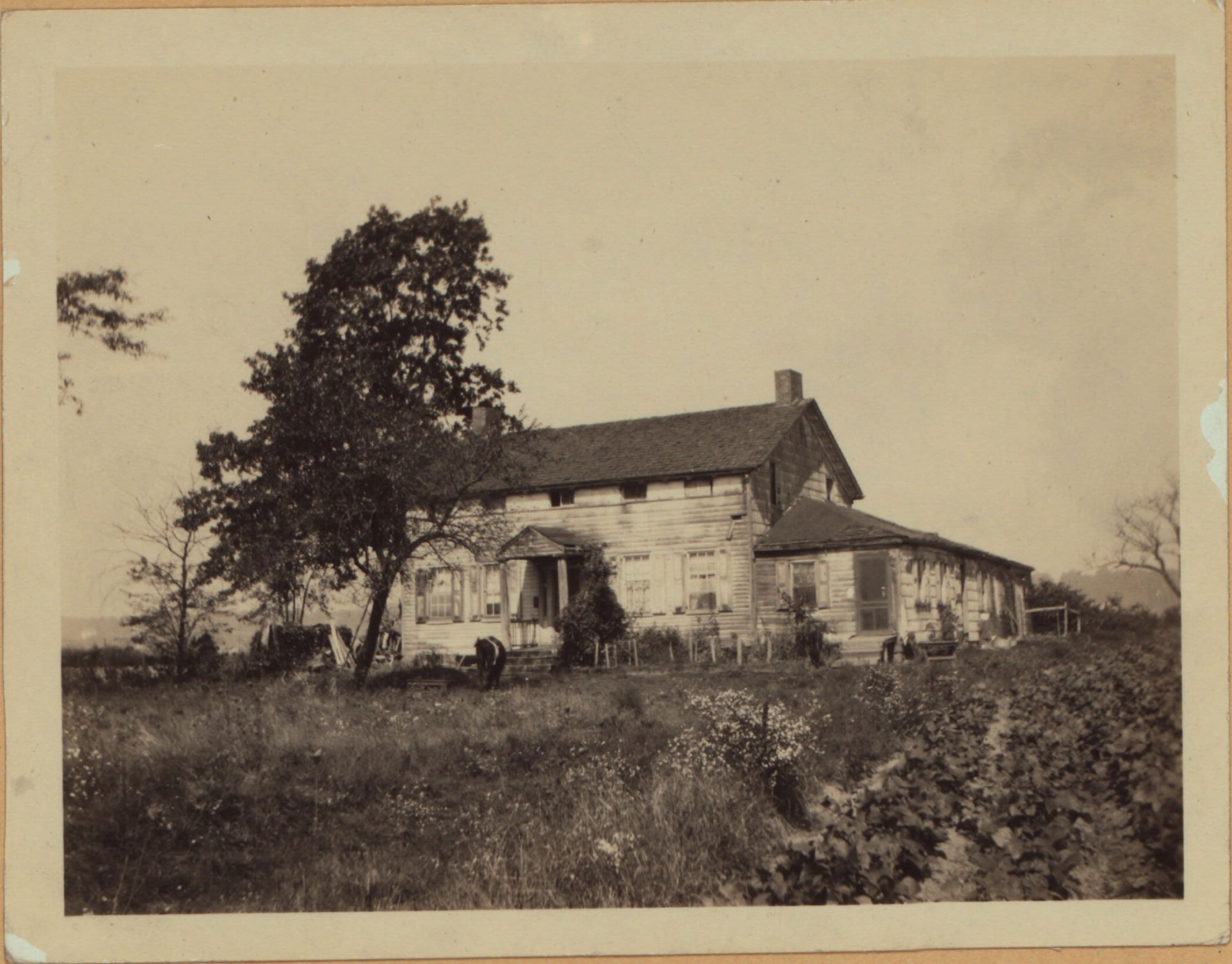 Queens: Springfield Boulevard - Murdock Avenue